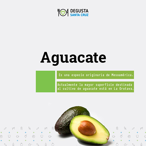 Degusta Santa Cruz. Aguacate. Contenido para redes sociales. JFT Comunicación